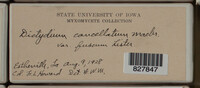 Image Associated With the Occurence